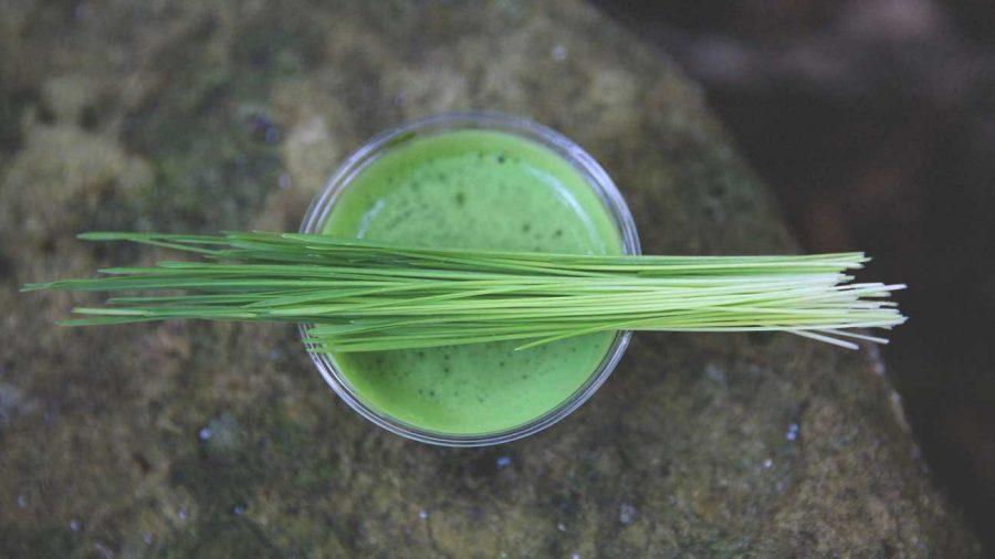 What is Wheatgrass and why do I NEED it?